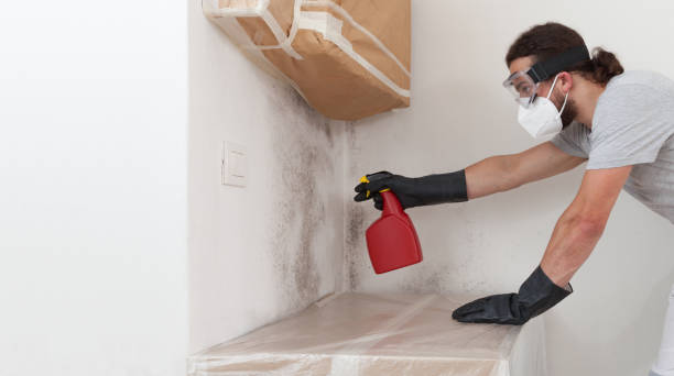 Professional Mold Removal technician working in Clarendon Hills, IL